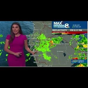 SOLD— Poisenberry Betsey Johnson Scuba Crepe Ruffle Hem Dress